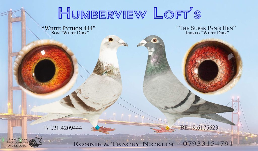 Andycolbyphotography.Com42