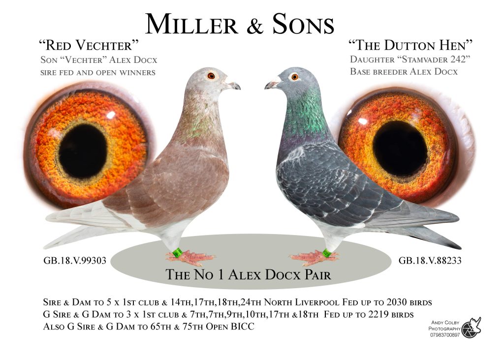 Andycolbyphotography.Com43